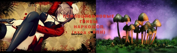 мдпв Абинск