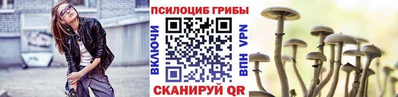 Псилоцибиновые грибы ЛСД  купить наркотик  Ялуторовск 